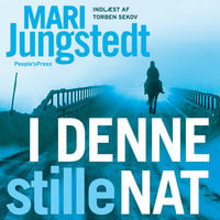 I denne stille nat - Mari Jungstedt