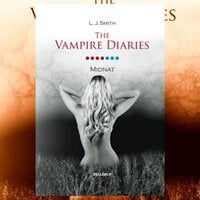 The Vampire Diaries #7: Midnat - L. J. Smith