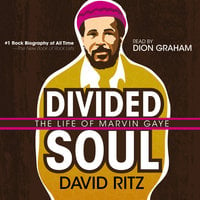 Divided Soul - David Ritz