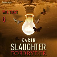 Forbryder - Karin Slaughter