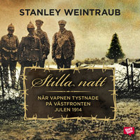 Stilla natt : När vapnen tystnade på västfronten julen 1914 - Stanley Weintraub