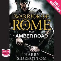 The Amber Road - Harry Sidebottom