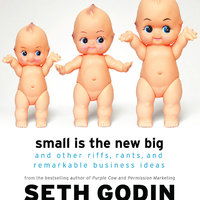 Small Is the New Big: And Other Riffs, Rants, and Remarkable Business Ideas - Seth Godin