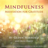 Mindfulness Meditation for Gratitude - Glenn Harrold, Russ Davey