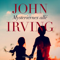 Mysteriernes allé - John Irving