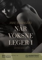 Når voksne leger: 13 erotiske fortællinger - Anne Rosengård