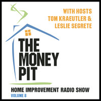 The Money Pit, Vol. 8 - Tom Kraeutler, Leslie Segrete