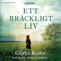 Ett bräckligt liv - Göran Redin