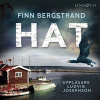 Hat - Finn Bergstrand