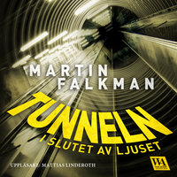 Tunneln i slutet av ljuset - Martin Falkman