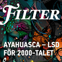 Ayahuasca - LSD för 2000-talet - Filter, Christopher Friman