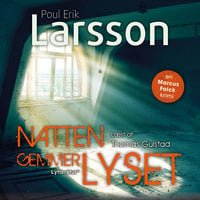 Natten gemmer lyset - Poul Erik Larsson