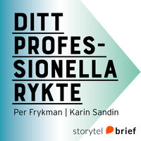Ditt professionella rykte - Per Frykman, Karin Sandin