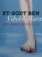 Et godt ben og andre noveller - Vibeke Marx