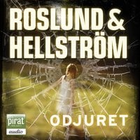 Odjuret - Anders Roslund, Börge Hellström