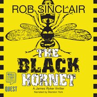 The Black Hornet (James Ryker Book 2) - Rob Sinclair