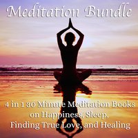 Meditation Bundle: 4 in 1 30 Minute Meditation Books On Happiness, Sleep, Finding True Love, And Healing - Living In Bliss Productions