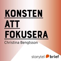 Konsten att fokusera - Christina Bengtsson