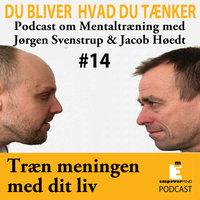 Meningen med livet - Jørgen Svenstrup