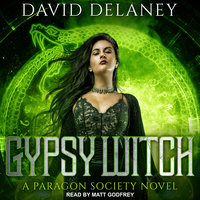 Gypsy Witch - David Delaney