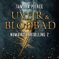 Numairs fortælling #2: Uvejr og blodbad - Tamora Pierce