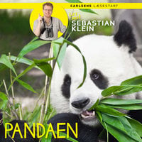 Læs med Sebastian Klein - Pandaen - Sebastian Klein