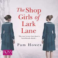 The Shop Girls of Lark Lane: Lark Lane 2 - Pam Howes