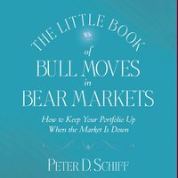 The Little Book of Bull Moves in Bear Markets: How to Keep Your Portfolio Up When the Market is Down - Peter D. Schiff