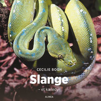 Slange - et kæledyr - Cecilie Bogh