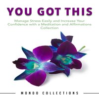 You Got This: Manage Stress Easily and Increase Your Confidence with a Meditation and Affirmations Collection - Mondo Collections