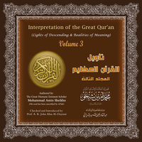 تأويل القرآن العظيم: المجلد الثالث - Interpretation of the Great Qur'an: Volume 3 - محمد أمين شيخو