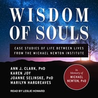 Wisdom of Souls: Case Studies of Life Between Lives From The Michael Newton Institute - Ann J. Clark, Marilyn Hargreaves, Karen Joy, Joanne Selinske