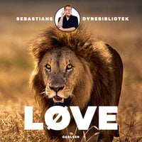 Sebastians dyrebibliotek - Løve - Sebastian Klein