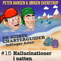 Hallucinationer i natten - Jørgen Svenstrup, Peter Hansen
