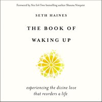 The Book of Waking Up: Experiencing the Divine Love That Reorders a Life - Seth Haines