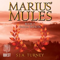 Marius' Mules III: Gallia Invicta: Marius' Mules Book 3 - S. J. A. Turney