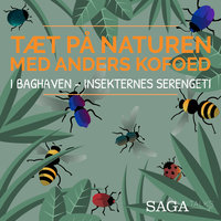 I baghaven - Insekternes Serengeti - Anders Kofoed, Christina Leonora Steffensen