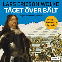 Tåget över Bält - Lars Ericson Wolke