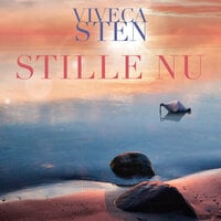 Stille nu - Viveca Sten