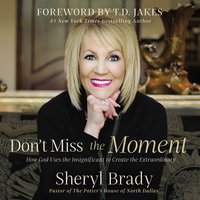 Don't Miss the Moment: How God Uses the Insignificant to Create the Extraordinary - Sheryl Brady