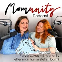 Momunity - Farvel Lukas - Er der et liv efter man har mistet sit barn? - Sara R. Hamann, Sine Christensen