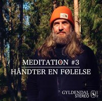 Håndter En Følelse: Guidede meditationer med Jesper Westmark - Jesper Westmark