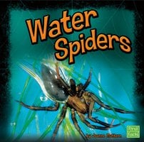 Water Spiders - Joanne Mattern