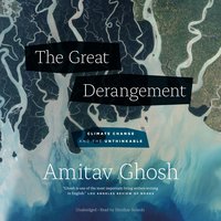 The Great Derangement: Climate Change and the Unthinkable - Amitav Ghosh