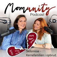 Momunity - Skilsmisse - kernefamilien i opbrud - Sara R. Hamann, Sine Christensen