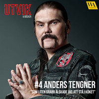 Utvik & böcker: Anders Tengner - Anders Tengner, Magnus Utvik