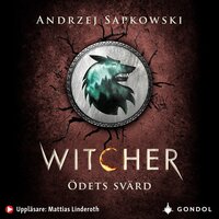 Ödets svärd : berättelser om Geralt av Rivia - Andrzej Sapkowski