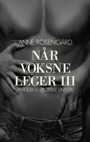 Når voksne leger III - Mandens erotiske univers - Anne Rosengård