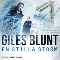 En stilla storm - Giles Blunt