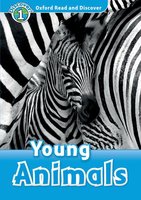 Young Animals - Rachel Bladon